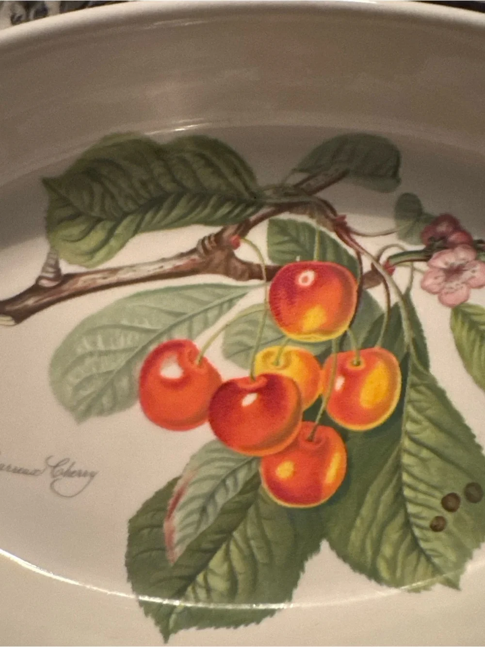 Portmeirion Pomona The Biggereaux Cherry 11.5